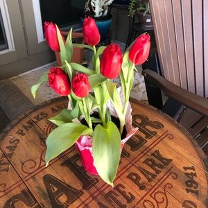 Meet your Posher, Angie